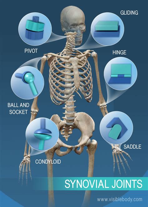 Il bone and joint - Illinois Bone And Joint Institute Llc. Here are other providers that practice at the same doctor's office: Jonathan Erulkar. 5/5. Orthopedics. Carey Ellis. 5/5. Family Medicine. Ritesh Shah. 5/5.